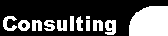  Consulting Services 
